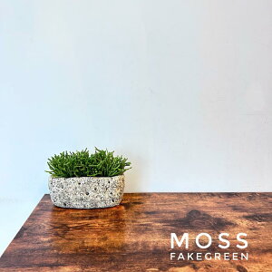  moss tFCNO[ ~j  X  ϗtA tFCN G} h lHϗtA  lH ϗtA  A i CeAO[ A Aؔ