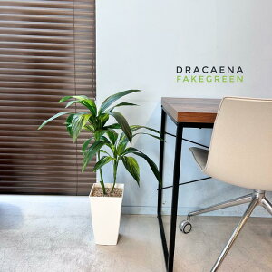 tFCNO[ n hZi ^ 80cm   ϗtA tFCN G} R lHϗtA  lH ϗtA  A i 