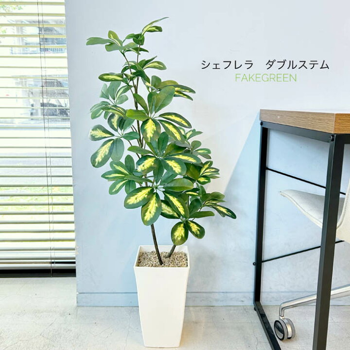 楽天市場】シェフレラダブルステム斑入葉 フェイクグリーン 高さ90cm 