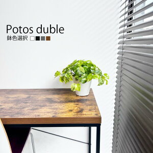 |gX_u 28cm tFCNO[  FI ϗtA tFCN G} h lHϗtA  lH ϗtA  A i CeAO[ A Aؔ