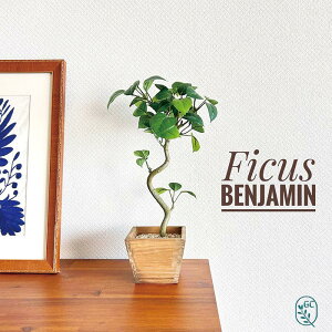 フェイクグリーン 卓上 フィカスベンジャミン 高さ40cm 木の鉢 ミニ 観葉植物 フェイク 光触媒 防菌 人工観葉植物 造花 人工 観葉植物 鉢植え 植木鉢 ビンテージ加工アーティフィシャルグリ
