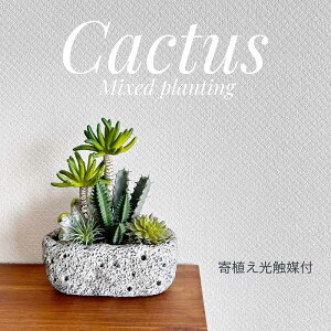 G} tFCNO[ A T{e A O[ O[ Xg[  CeA 