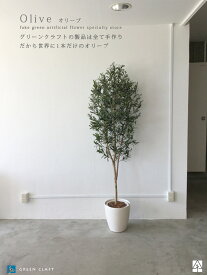 楽天市場 オリーブ 鉢植え おしゃれの通販