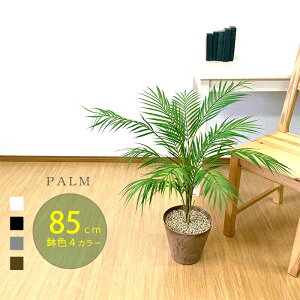 p[V 85cm tFCNO[ ^ it u   F I  ϗtA tFCN G} h lHϗtA  lH ϗtA  A i  a@ 