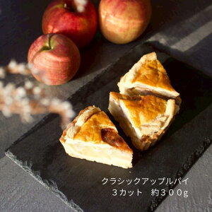 Yьgp GREEN DAYS NVbNAbvpC 3JbgTCY e300g TNbƂ^gn W[V[ȃR|[g xxĂグAbvpC