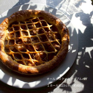 GREEN DAYS I[hXN[AbvpC Y񂲎gp a23cm I[\hbNXȎ_̌AbvpC e800g 1z[