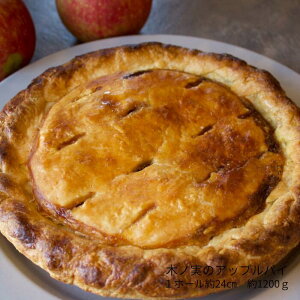 GREEN DAYS ؃m̃AbvpC Y񂲎gp AbvpC a24cm ЂC`WÑpC t[cP[L̂悤ȕ 1200g 1z[