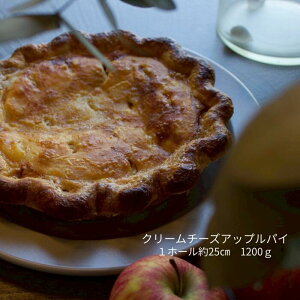 GREEN DAYS N[`[YAbvpC Yьgp AbvpC a24cm t̃N[`[Yӂ񂾂Ɏg܂₩Ȗ킢 e1200g 1z[