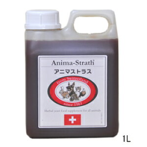 y̑IzAj}XgX@t̃^Cv@1Ly15܂ł̒œ Ki Tvg h{⏕ pz