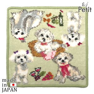 y̑Iz}`[Y@nJ`@y15܂ł̒œ Ki p Lpz