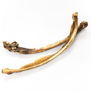 y̑IzHaere Maiin}Gj@B[Euiq̓t΂獜j@80gy15܂ł̒œ Ki  EKEALX p Lpz