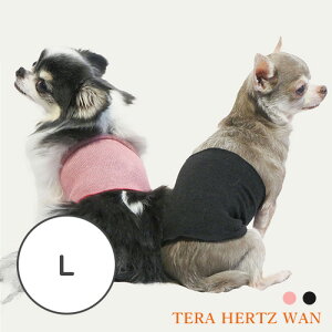 y̑IzN[N`[@ewcEVN@Ly15܂ł̒œ Ki EFAEG p Lp V VL q qLz