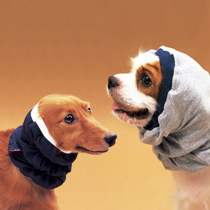 楽天市場 犬と生活 スヌード S 3 300円以上で送料無料 15時までの注文で当日発送 正規品 スヌード他食関連雑貨 犬用 グリーンドッグ