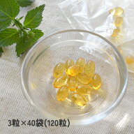 【プライムケイズ】オメガ3フィッシュオイル　EPA+DHA　3粒×40袋(120粒)【15時までの注文で当日発送 正…