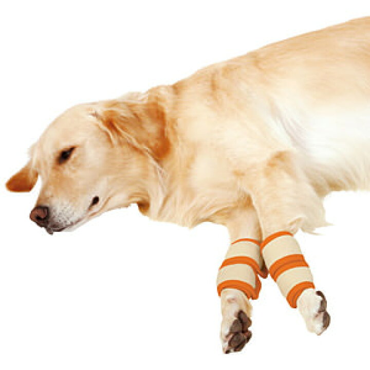 楽天市場 その他厳選 老犬介護用 床ずれ予防サポーター 大 4個入 3 300円以上で送料無料 15時までの注文で当日発送 正規品 床ずれ防止 犬用 老犬用 シニア犬 グリーンドッグ