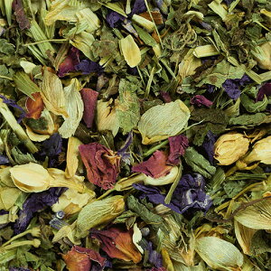 【テラカニス】テラカニス ハーバルヒーローズ No.2 ブレイブハート 1箱(0.4g×30包入)【15時までの注文で当日発送 正規品 サプリメント 犬用 猫用】