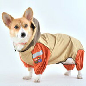 yEH[n[gJpj[zyVfށzJR[gB t[htCR[g(R[M[p)@SSy15܂ł̒œ Ki CR[g pz