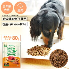 【ヤムヤムヤム】yum yum yum！ 馬肉 やわらかドライタイプ　ちょこっとパック80g【15時までの注文で当日発送 正規品 ドライフード 犬用 成犬 老犬 子犬】