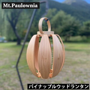 Mt.Paulownia(}Eg|[jA)@ PINEAPPLE WOOD LANTERN pCibvEbh^ LEDv GOAL ZERO S[[ }CNtbV VF[h Jo[ ؍ ؐ w Ђ̂ qmL ^ L