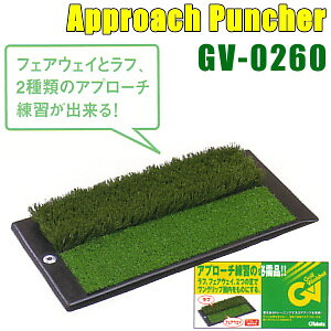 �_�G���g���[��P10�{�I5/23 20:00�]5/27 1:59�^ �^�o�^ GV-0260 ���K�p�i2Way�A�v���[�`�p���`���[