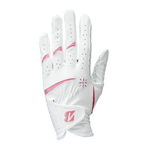 uaXgSt EgObv O[u fB[X p GL25L1