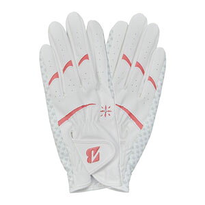 uaXgSt EgObv O[u p fB[X GL25L2