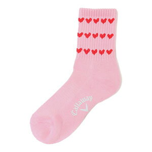 [^CZ[] LEFC uLEFC n[g V[g\bNX StEFA fB[X 2025Ntăf C25193205