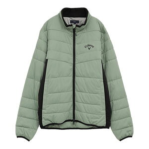 LEFC X^[Xgb` tWbv  u] StEFA Y 2025NH~f M-3L C25215106