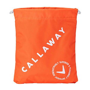 LEFC AhoX V[YP[X 25 JM