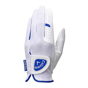 LEFC nCp[N[ O[u 25 JM StO[u Y p