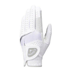 [^CZ[] LEFC nCp[ Obv O[u 25 JM StO[u Y p