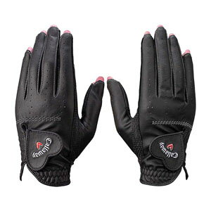 LEFC lC fA O[u EBY 25 JM StO[u fB[X p