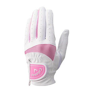 LEFC \C O[u EBY 25 JM StO[u fB[X p