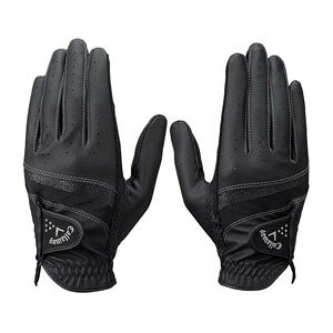 LEFC X^C fA O[u EBY 25 JM StO[u fB[X p