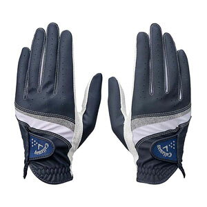 [^CZ[] LEFC X^C fA O[u EBY 25 JM StO[u fB[X p