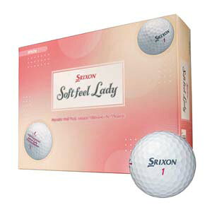 XN\ \tgtB[ fB St{[ 2025Nf 1_[X [12]