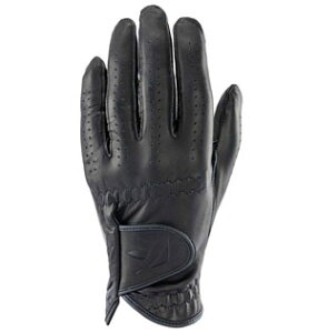 LXR Y StO[u p VL[tBbg GF-23301