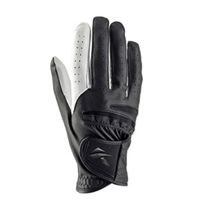 [^CZ[] LXR imX^bh StO[u Y Ep SF-2518R