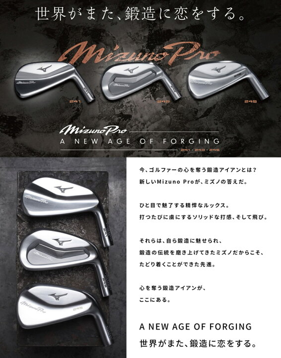楽天市場】[20％OFFクーポン対象] ミズノ Mizuno Pro 245 アイアン 