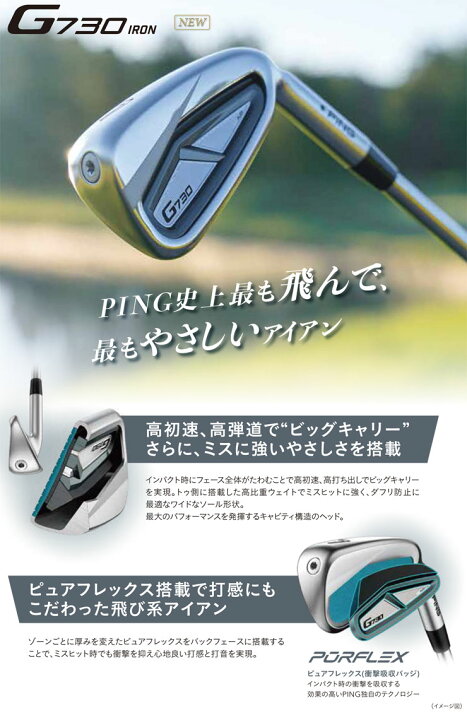 楽天市場】ピン G730 アイアン ダイナミックゴールド シャフト 5本 