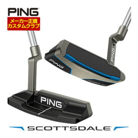 特注カスタムクラブ ピン SCOTTSDALE ANSER 2D パター