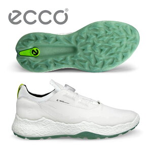 GR[ oCI H5 BOA StV[Y Y 138024 J[FzCg(01007)