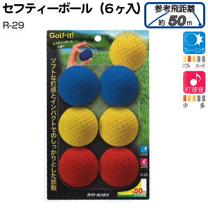 Cg ZteB[{[ [6] R-29