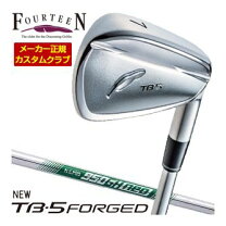 楽天市場】フォーティーン アイアン fh900の通販