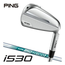楽天市場】アイアンセット 850ghの通販
