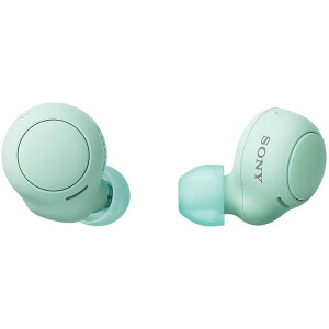 �\�j�[(SONY) ���S���C�����X�C���z�� WF-C500 : /�y�ʏ��^5.4g/�����x�ʘb�i��/�ȒP�y�A�����O/IPX4�h�H���\/�A�C�X�O���[�� WF-C500 GZ