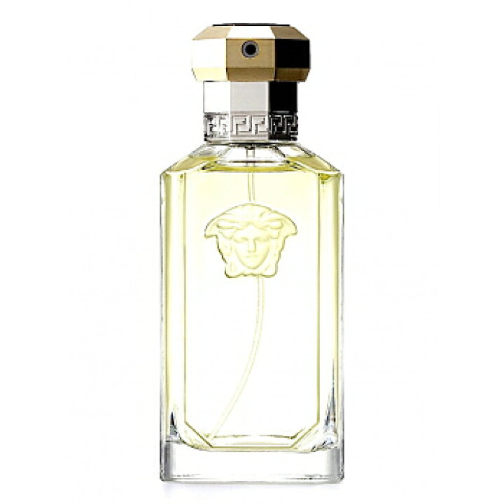 楽天市場】【 アウトレット 】ヴェルサーチェ ザ ドリーマー 100ML EDT 