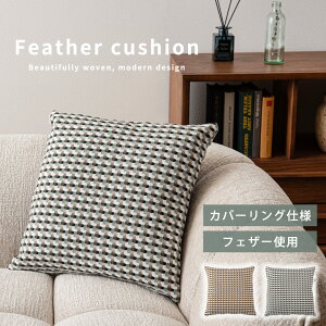 feather cushion NbV