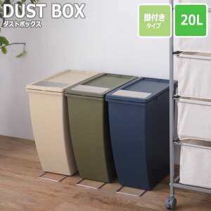 SLIM CONTAINER XRei _Xg{bNX 20L rt