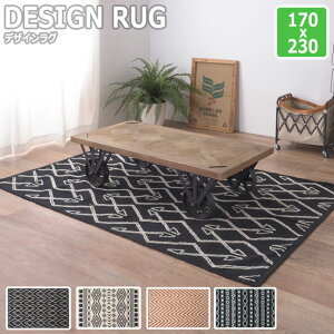 DESIGN RUG �f�U�C�����O 170x230cm